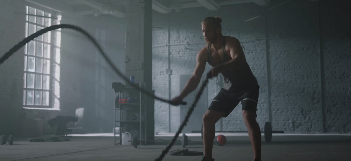Forge Fit - Elevate Your Fitness with Premium Gear & Equipment